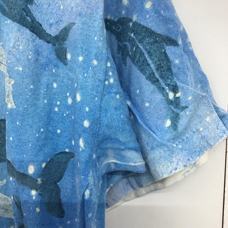 古着 USED Tシャツ 半袖 半袖カットソー プリントTシャツ クルーネックカットソー L プリント 水色 / ライトブルー /  メンズ USED 古着 中古 10147385