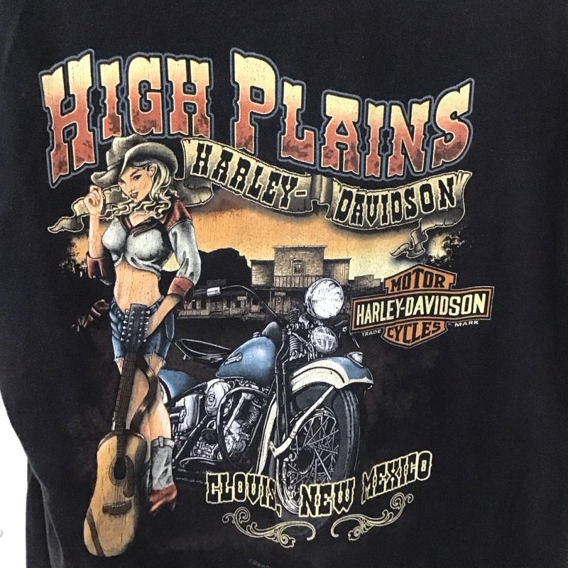 ハーレーダビッドソン Harley-Davidson Tシャツ 半袖 プリント 黒 / ブラック /  メンズ USED 古着 中古 10129994