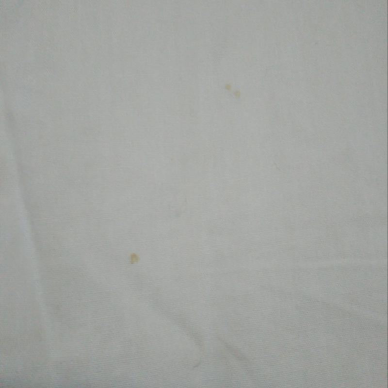 レルビエ LHELBIE シャツ、ブラウス 半袖 FREE 無地 白 / ホワイト /  レディース USED 古着 中古 10005282