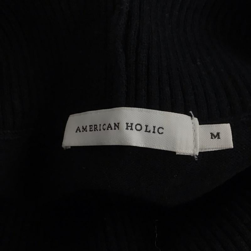 アメリカンホリック AMERICAN HOLIC ニット、セーター 長袖 長袖ニットカットソー タートルネック セーター M ボーダー柄 白 / ホワイト / X 紺 / ネイビー /  レディース USED 古着 中古 10126103