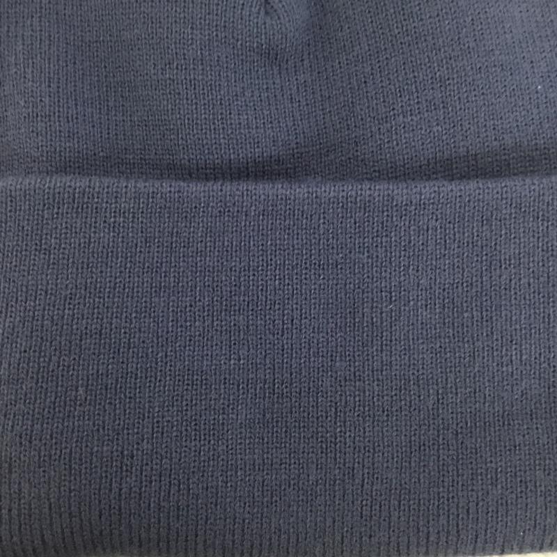 カーハート Carhartt 帽子 ニット帽 I020222 ACRYLIC WATCH HAT ロゴ、文字 青 / ブルー /  メンズ USED 古着 中古 10126705