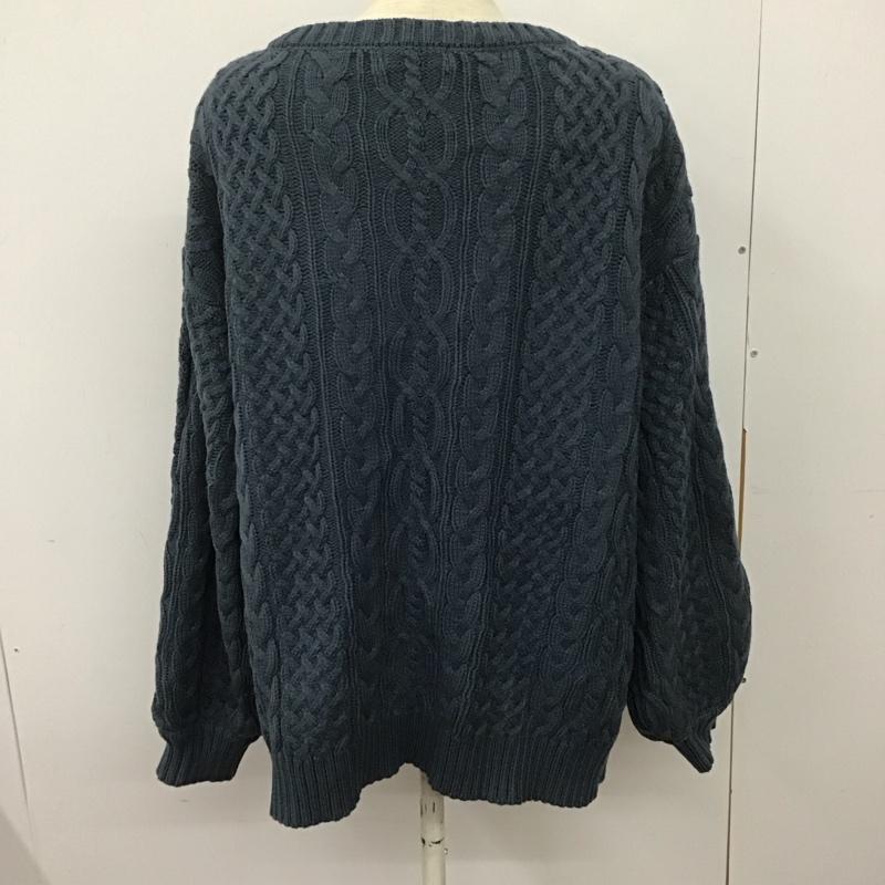 ページボーイ PAGEBOY ニット、セーター 長袖 長袖ニットカットソー Vネック セーター FREE  青 / ブルー /  レディース USED 古着 中古 10126845