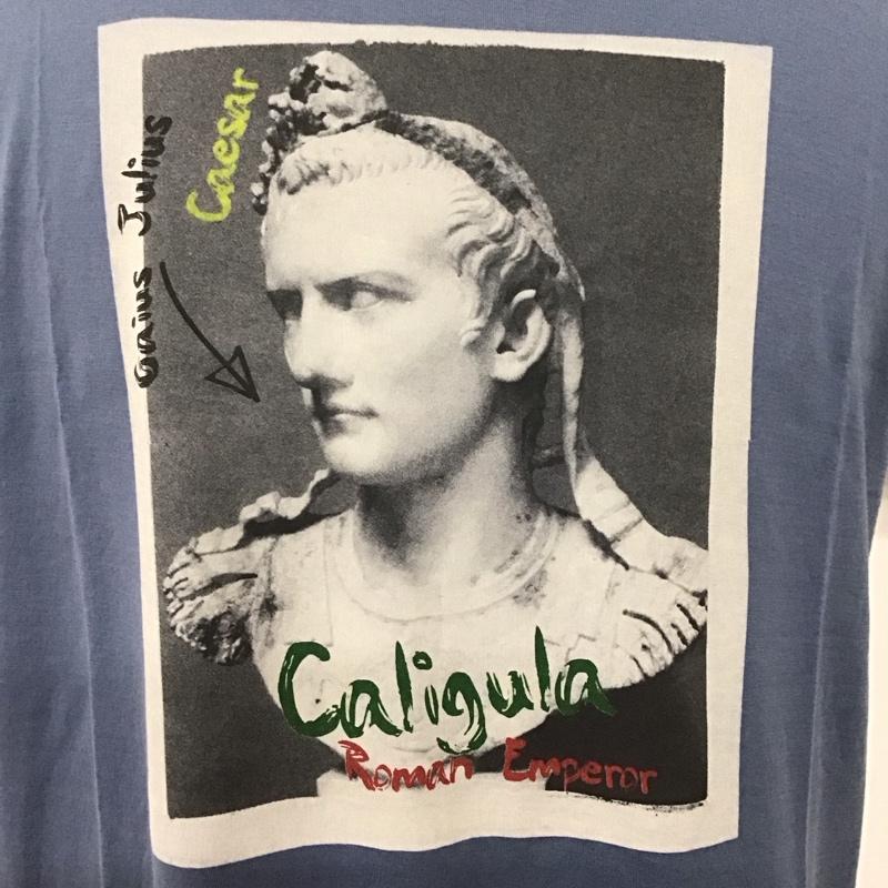 ドルチェアンドガッバーナ DOLCE&GABBANA Tシャツ 半袖 半袖カットソー プリントTシャツ クルーネックカットソー プリント 青 / ブルー /  メンズ USED 古着 中古 10127827