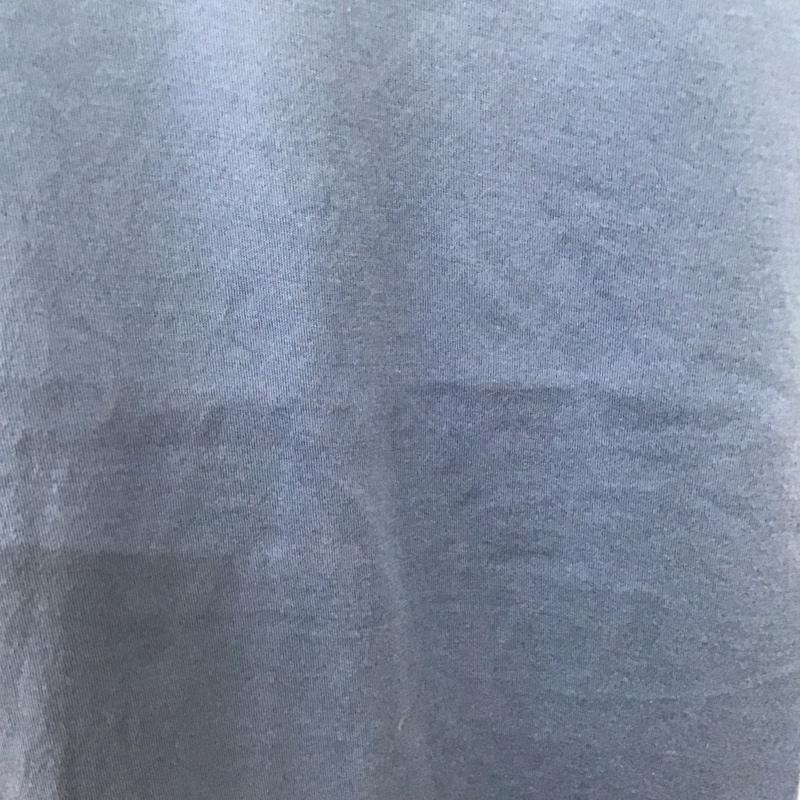 ドルチェアンドガッバーナ DOLCE&GABBANA Tシャツ 半袖 半袖カットソー プリントTシャツ クルーネックカットソー プリント 青 / ブルー /  メンズ USED 古着 中古 10127827