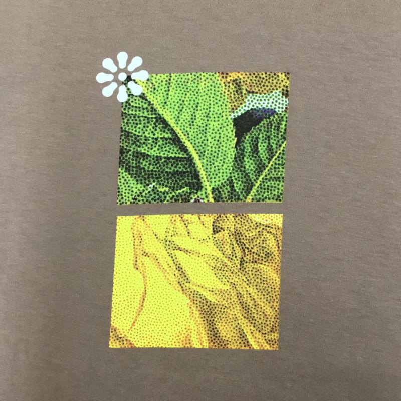 カーハートダブリューアイピー Carhartt WIP Tシャツ 半袖 Greenhouse T-Shirt　I031714 XL プリント 桃 / ピンク /  メンズ USED 古着 中古 10127975