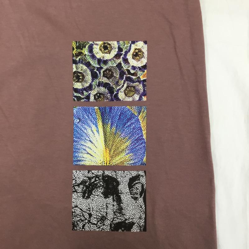 カーハートダブリューアイピー Carhartt WIP Tシャツ 半袖 Greenhouse T-Shirt　I031714 XL プリント 桃 / ピンク /  メンズ USED 古着 中古 10127975