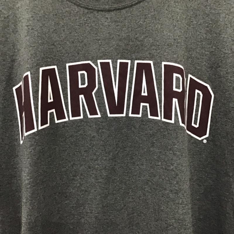 ナイキ NIKE Tシャツ 半袖 半袖カットソー プリントTシャツ クルーネックカットソー ロゴ、文字 灰 / グレー /  メンズ USED 古着 中古 10136859