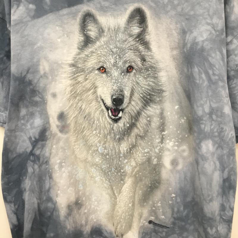 ＵＳフルギ US古着 Tシャツ 半袖 L 総柄 青 / ブルー /  メンズ USED 古着 中古 10137308