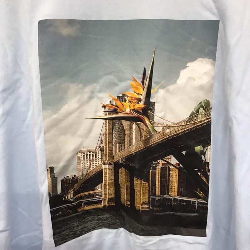 ラファイエット Lafayette Tシャツ 半袖 バックプリント クルーネック XL ロゴ、文字 水色 / ライトブルー /  メンズ USED 古着 中古 10140238