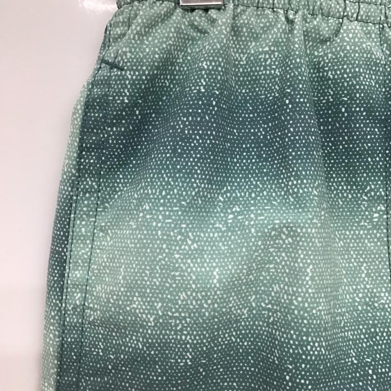 パタゴニア patagonia パンツ ショートパンツ ショートパンツ ハーフパンツ カジュアルパンツ S プリント 緑 / グリーン /  メンズ USED 古着 中古 10141000