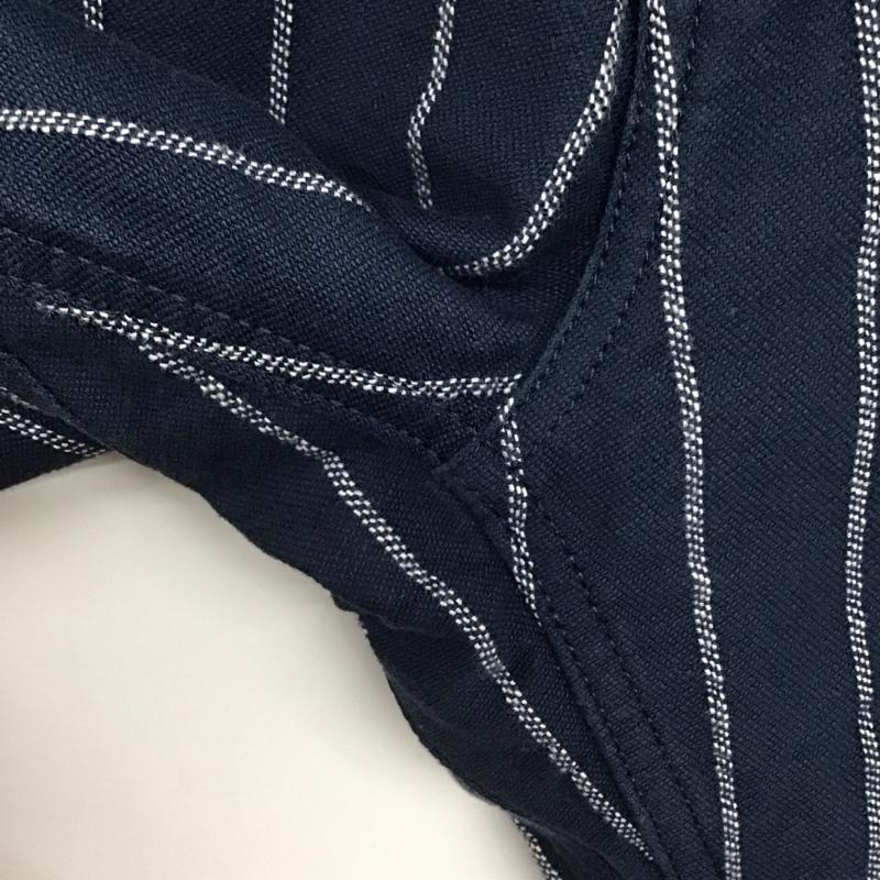 チャンピオン Champion パンツ チノパン c3-z201 ストレートパンツ ワイドパンツ カジュアルパンツ ワークパンツ チノパン M ストライプ 紺 / ネイビー /  メンズ USED 古着 中古 10143626