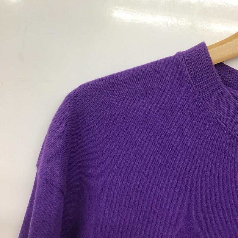 ザノースフェイス THE NORTH FACE カットソー 長袖 nt82034 長袖Tシャツ プリントTシャツ クルーネック M プリント 紫 / パープル /  メンズ USED 古着 中古 10144279