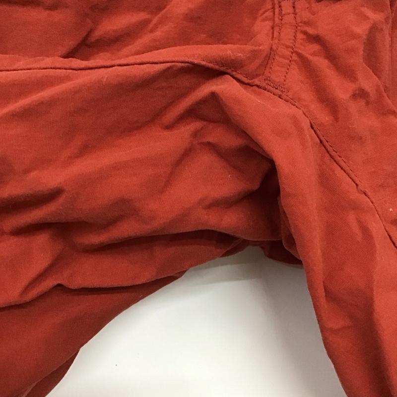 ザノースフェイス THE NORTH FACE パンツ ショートパンツ nb41625 クラスファイブカーゴショーツ ハーフパンツ L ロゴ、文字 マルチカラー / マルチカラー /  メンズ USED 古着 中古 10146047