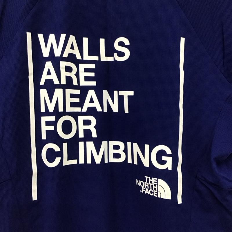 ザノースフェイス THE NORTH FACE Tシャツ 半袖 nt31996 半袖カットソー プリントTシャツ L ロゴ、文字 青 / ブルー /  メンズ USED 古着 中古 10146704