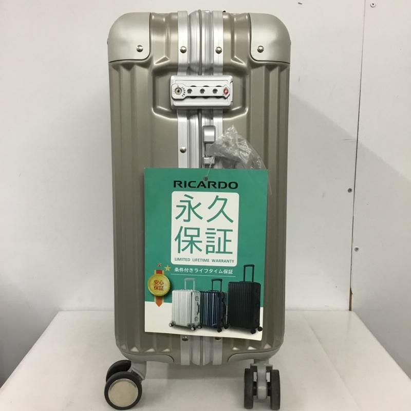 リカルド RICARDO スーツケース、トランク スーツケース、トランク AIV-19-020-4WB TSAロック ロゴ、文字 灰 / グレー /  メンズ USED 古着 中古 10147545