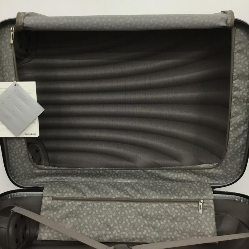 サムソナイト Samsonite スーツケース、トランク スーツケース、トランク V22 25306 コスモライト TSAロック ロゴ、文字 銀 / シルバー /  メンズ USED 古着 中古 10147580
