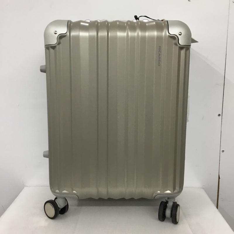 リカルド RICARDO スーツケース、トランク スーツケース、トランク AIV-19-020-4WB TSAロック キャリーケース ロゴ、文字 灰 / グレー /  メンズ USED 古着 中古 10147804