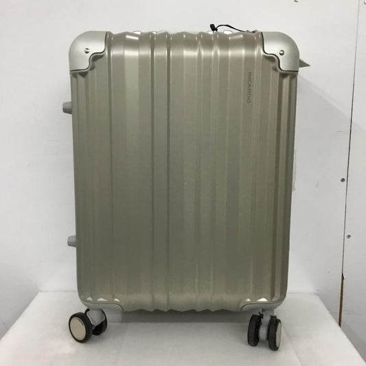リカルド RICARDO スーツケース、トランク スーツケース、トランク AIV-19-020-4WB TSAロック キャリーケース ロゴ、文字 灰 / グレー /  メンズ USED 古着 中古 10147804