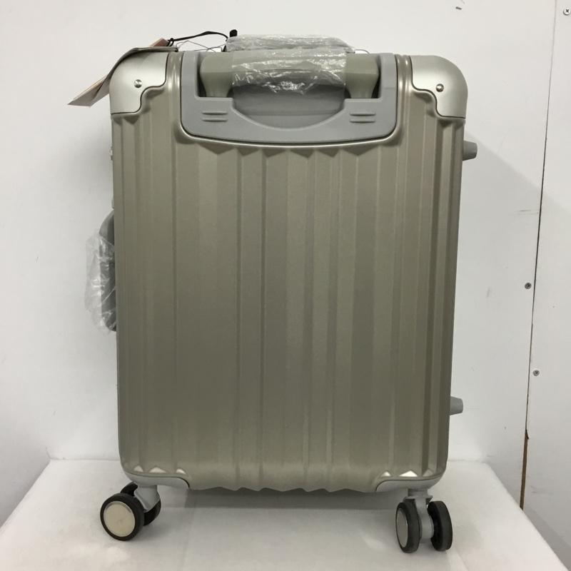リカルド RICARDO スーツケース、トランク スーツケース、トランク AIV-19-020-4WB TSAロック キャリーケース ロゴ、文字 灰 / グレー /  メンズ USED 古着 中古 10147804