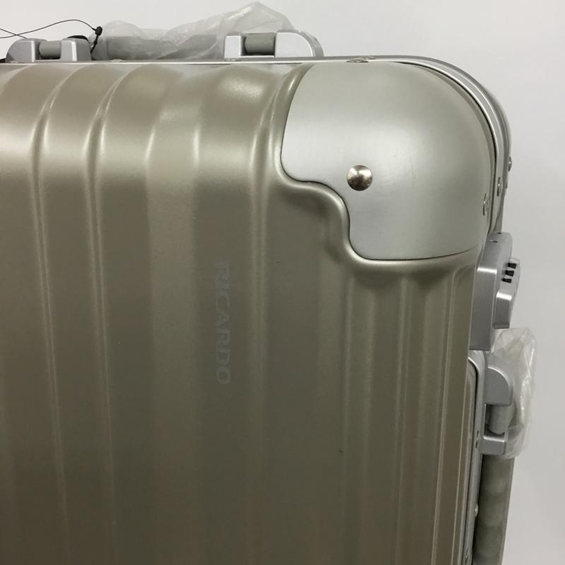 リカルド RICARDO スーツケース、トランク スーツケース、トランク AIV-19-020-4WB TSAロック キャリーケース ロゴ、文字 灰 / グレー /  メンズ USED 古着 中古 10147820