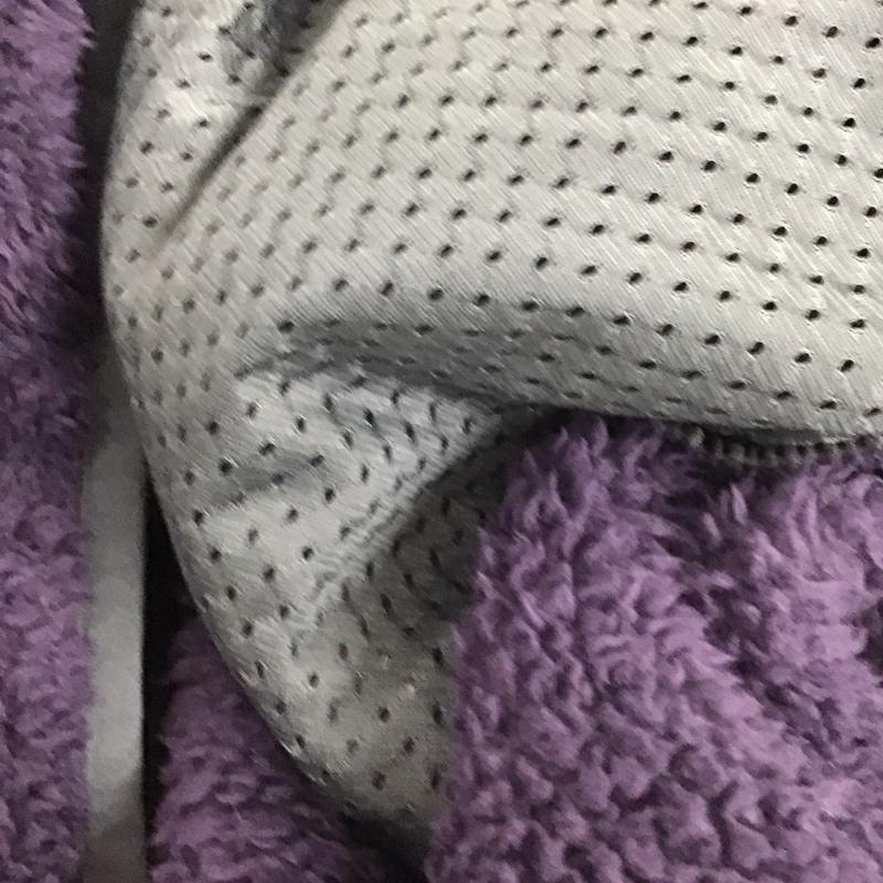 パタゴニア patagonia ジャケット、上着 ジャンパー、ブルゾン 25895fa20 長袖フリーストップス プルオーバー ラグラン XL ロゴ、文字 紫 / パープル /  メンズ USED 古着 中古 10148155