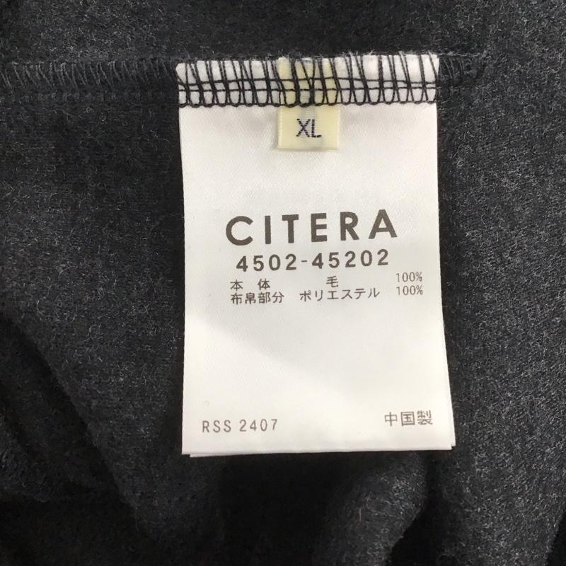 シテラ CITERA ニット、セーター 長袖 長袖ニットカットソー クルーネック セーター XL 無地 ダークグレー / ダークグレー /  メンズ USED 古着 中古 10148180
