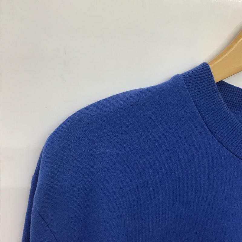 トミーヒルフィガー TOMMY HILFIGER カットソー 長袖 長袖カットソー プリントカットソー クルーネック M ロゴ、文字 青 / ブルー / X 紺 / ネイビー /  メンズ USED 古着 中古 10150902