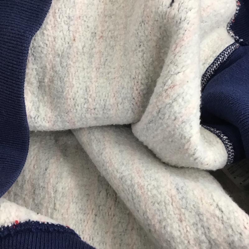 チャンピオン Champion パーカー 長袖 長袖パーカー プルオーバーパーカー スウェット M ストライプ 赤 / レッド / X 紺 / ネイビー /  メンズ USED 古着 中古 10151016