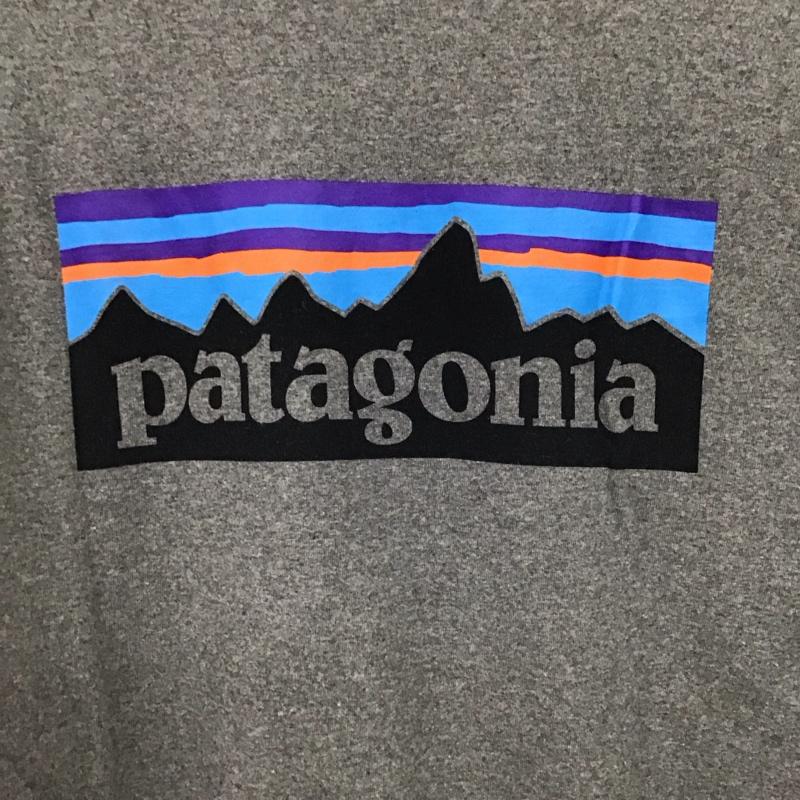 パタゴニア patagonia カットソー 長袖 38518sp20 長袖カットソー プリントTシャツ M ロゴ、文字 灰 / グレー / gray メンズ USED 古着 中古 10151689