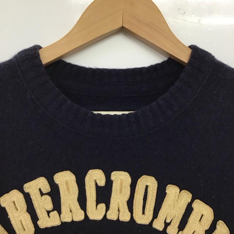 アバクロンビーアンドフィッチ ABERCROMBIE&FITCH ニット、セーター 長袖 長袖ニットカットソー クルーネック セーター M ロゴ、文字 紺 / ネイビー / navy メンズ USED 古着 中古 10152270