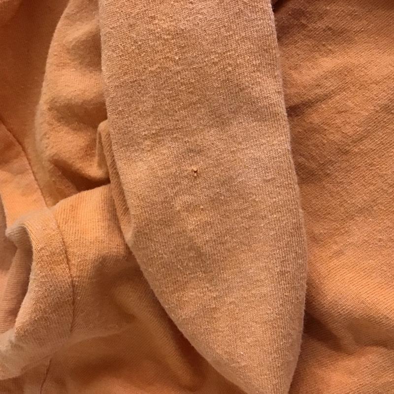 カーハート Carhartt カットソー 長袖 長袖カットソー プリントカットソー クルーネックカットソー XL ロゴ、文字 橙 / オレンジ / orange メンズ USED 古着 中古 10152289