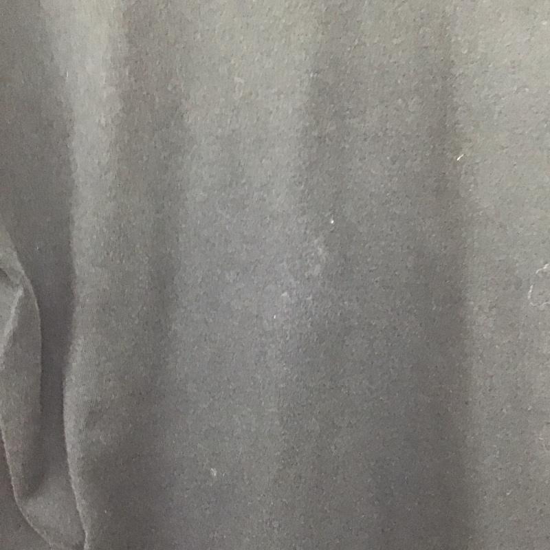 エクストララージ XLARGE Tシャツ 半袖 半袖カットソー プリントTシャツ クルーネックカットソー エックスガール M ロゴ、文字 黒 / ブラック / black メンズ USED 古着 中古 10153570