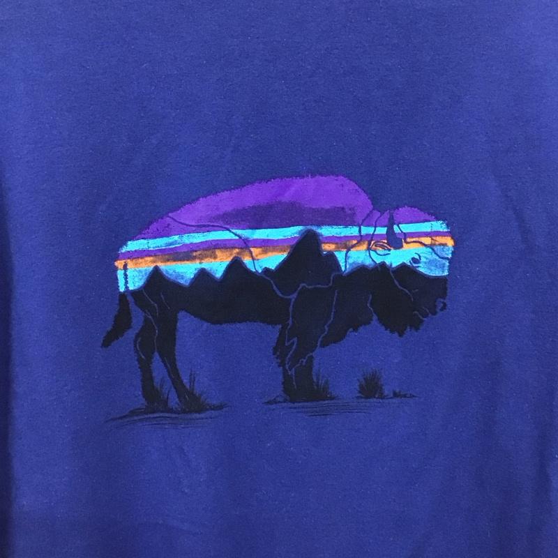 パタゴニア patagonia Tシャツ 半袖 半袖カットソー プリントTシャツ クルーネックカットソー XXL ロゴ、文字 青 / ブルー / blue メンズ USED 古着 中古 10153654