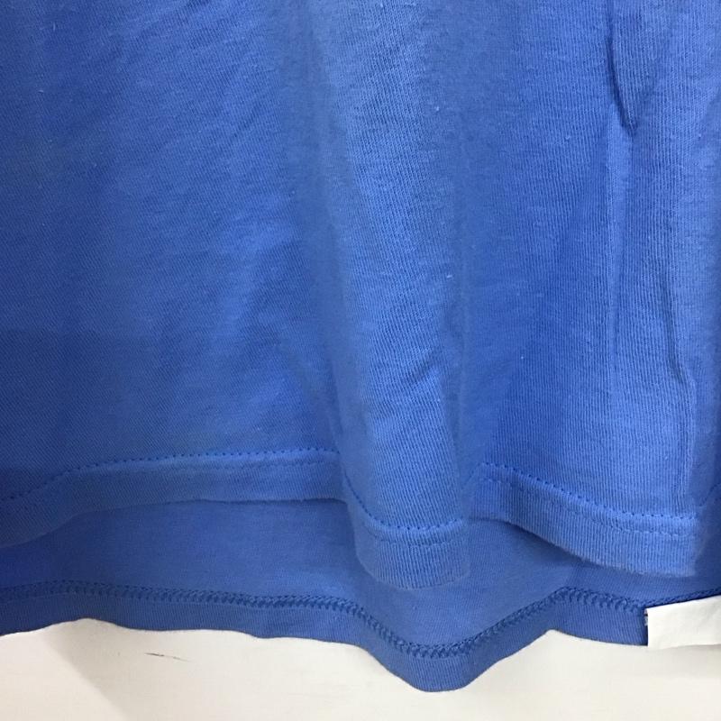 ステューシー STUSSY Tシャツ 半袖 半袖カットソー プリントTシャツ クルーネックカットソー S ロゴ、文字 水色 / ライトブルー / メンズ USED 古着 中古 10153783