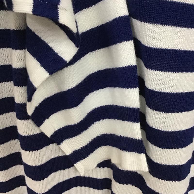 ザラ ZARA ニット、セーター 長袖 長袖ニットカットソー クルーネック セーター L ボーダー柄 白 / ホワイト / white X 青 / ブルー / blue レディース USED 古着 中古 10154123