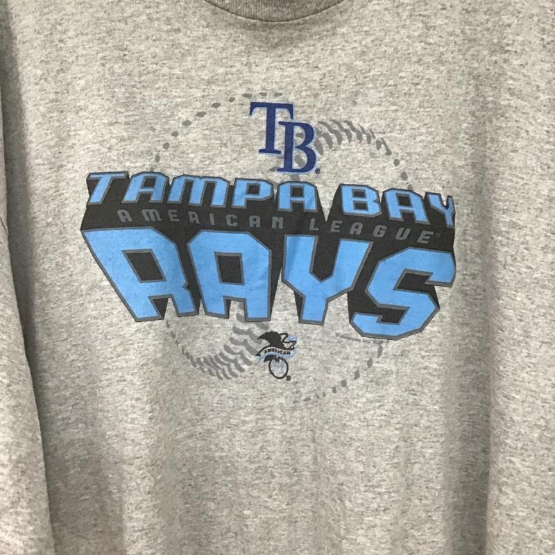 古着 USED Tシャツ 半袖 半袖カットソー プリントTシャツ クルーネックカットソー プリント 灰 / グレー / gray メンズ USED 古着 中古 10154277