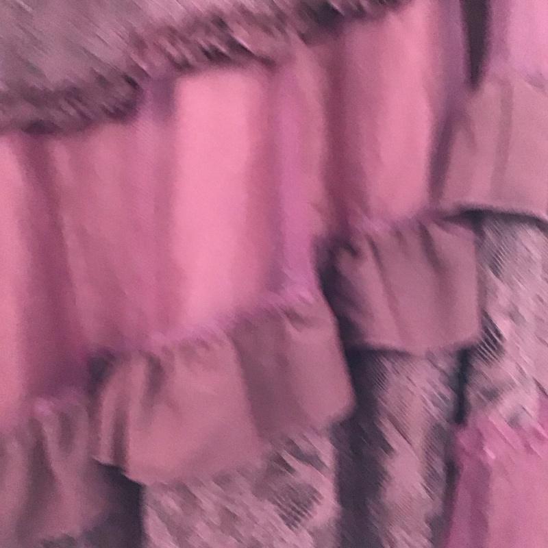 アクシーズファム axes femme スカート ロングスカート FREE 無地 えんじ / ワインレッド / dark red レディース USED 古着 中古 10155170