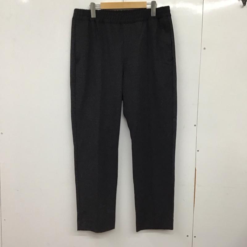 ナノユニバース nano・universe パンツ ワークパンツ、ペインターパンツ 668-1127002 ワイドパンツ イージーパンツ XL 無地 ダークグレー / ダークグレー / メンズ USED 古着 中古 10155892