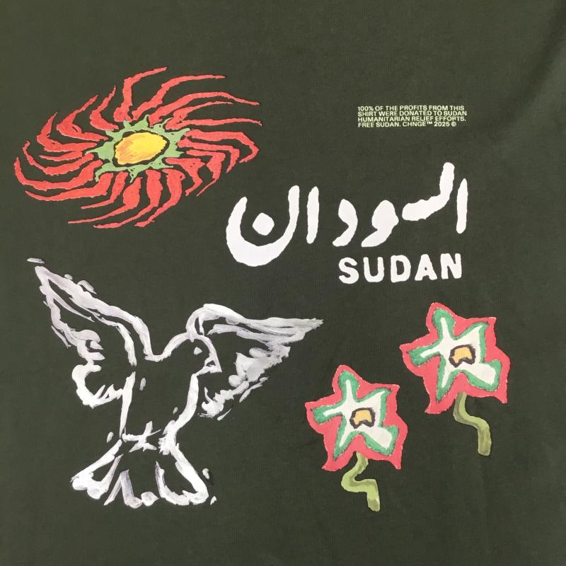 ＵＳフルギ US古着 Tシャツ 半袖 CHNGE Sudan Baby Tee 半袖 XL プリント 緑 / グリーン / green メンズ USED 古着 中古 10155975