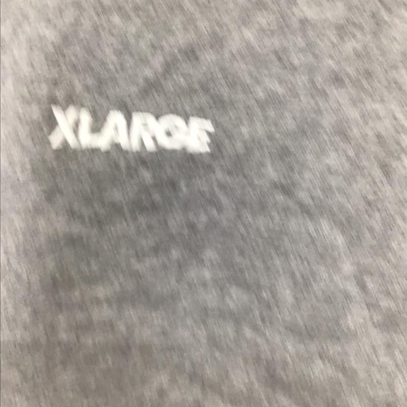 エクストララージ XLARGE トレーナー 長袖 長袖トレーナー スウェット クルーネック プルオーバー 120cm ロゴ、文字 灰 / グレー / gray ボーイズ USED 古着 中古 10156661