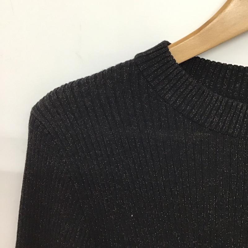 フリークスストア FREAK S STORE ニット、セーター 長袖 1132248902846 ウォッシャブル ラメクルーネックニット FREE 無地 黒 / ブラック / black レディース USED 古着 中古 10157149