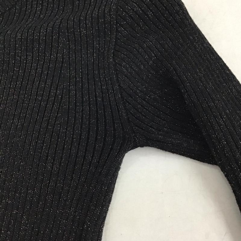 フリークスストア FREAK S STORE ニット、セーター 長袖 1132248902846 ウォッシャブル ラメクルーネックニット FREE 無地 黒 / ブラック / black レディース USED 古着 中古 10157149
