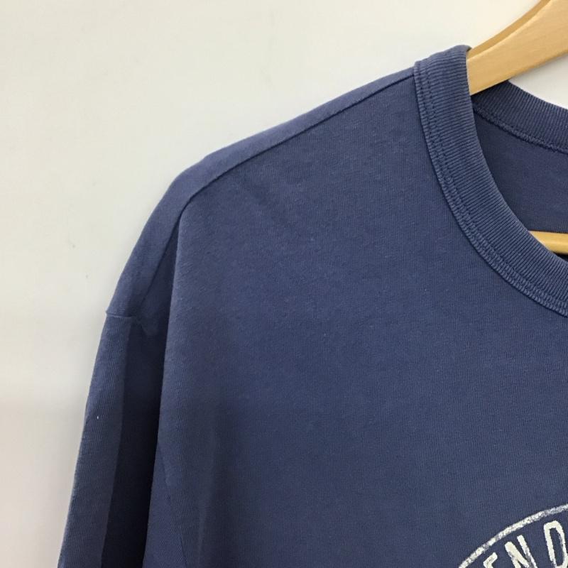 ポロラルフローレン POLO RALPH LAUREN Tシャツ 半袖 半袖カットソー プリントTシャツ クルーネックカットソー 5号 プリント 青 / ブルー / blue メンズ USED 古着 中古 10157202