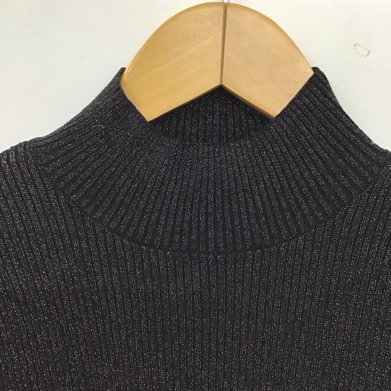 リリー ブラウン Lily Brown カットソー 長袖 LWNT235086 ラメニットハイネックプルオーバー ONE SIZE 無地 黒 / ブラック / black レディース USED 古着 中古 10157485