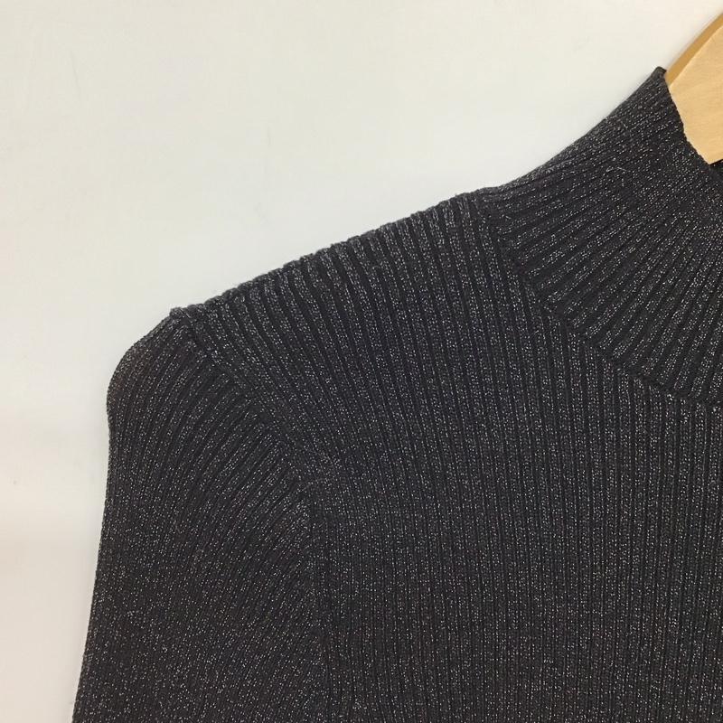 リリー ブラウン Lily Brown カットソー 長袖 LWNT235086 ラメニットハイネックプルオーバー ONE SIZE 無地 黒 / ブラック / black レディース USED 古着 中古 10157485