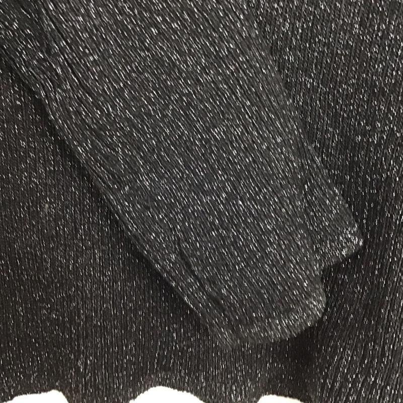 リリー ブラウン Lily Brown カットソー 長袖 LWNT235086 ラメニットハイネックプルオーバー ONE SIZE 無地 黒 / ブラック / black レディース USED 古着 中古 10157485