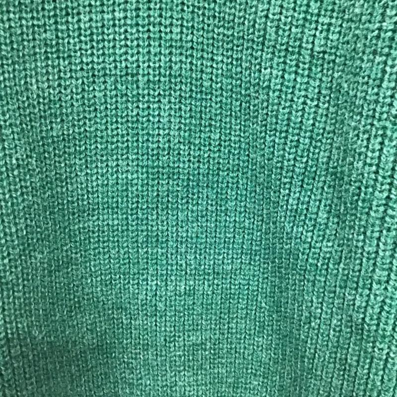 エルエルビーン L.L.Bean ニット、セーター 長袖 長袖ニットカットソー ヘンリーネック セーター L 無地 緑 / グリーン / green メンズ USED 古着 中古 10157672
