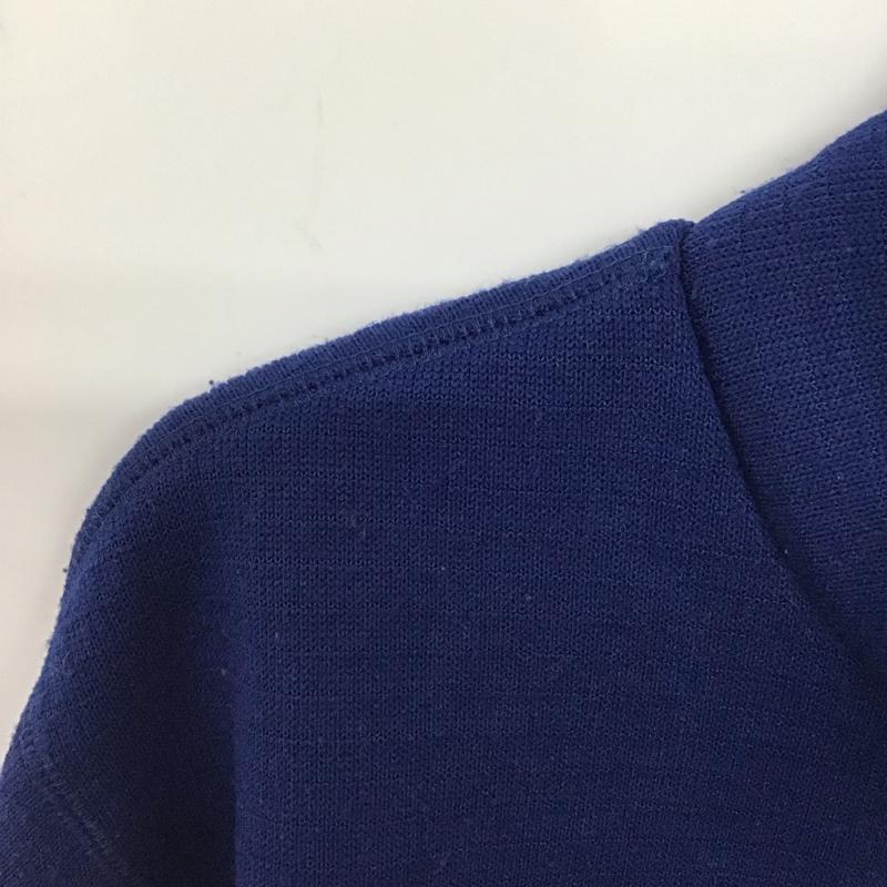 チャンピオン Champion ジャケット、上着 ジャンパー、ブルゾン ジップアップジャケット スタンドカラー アウター L ロゴ、文字 青 / ブルー / blue メンズ USED 古着 中古 10157766