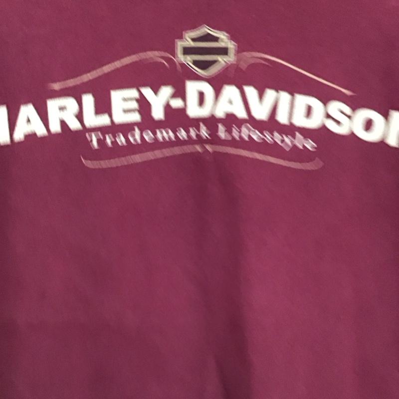 ハーレーダビッドソン Harley-Davidson Tシャツ 半袖 半袖カットソー プリントTシャツ クルーネックカットソー L ロゴ、文字 えんじ / ワインレッド / dark red メンズ USED 古着 中古 10158167