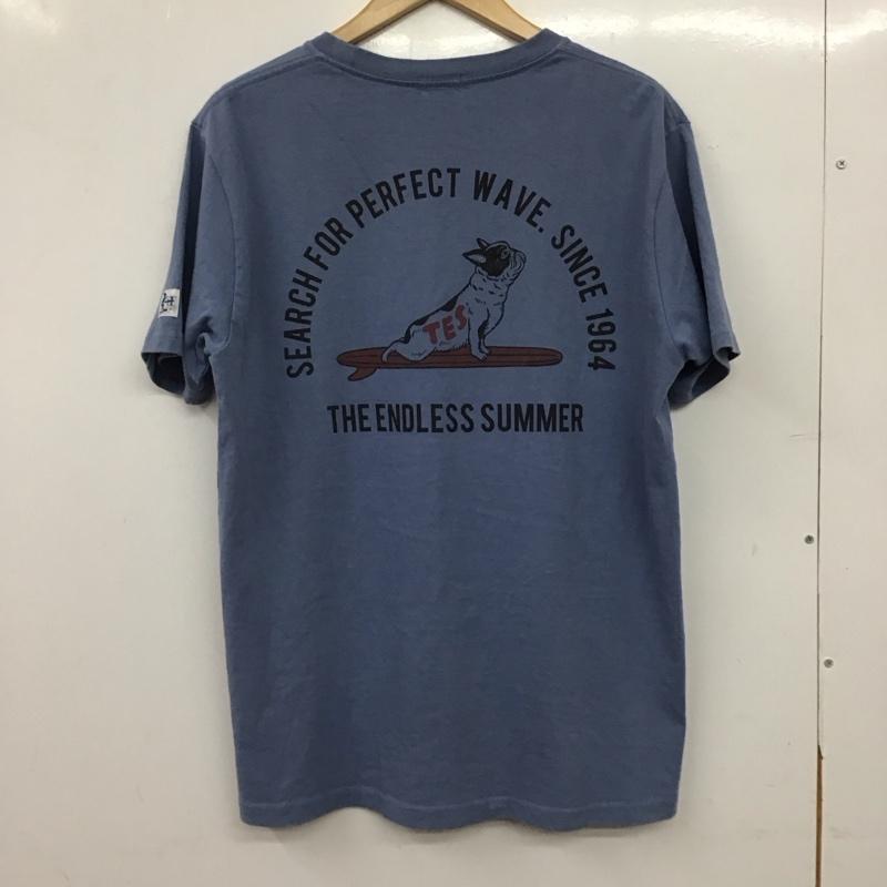 テス TES Tシャツ 半袖 半袖カットソー プリントTシャツ クルーネックカットソー L ロゴ、文字 水色 / ライトブルー / メンズ USED 古着 中古 10158186